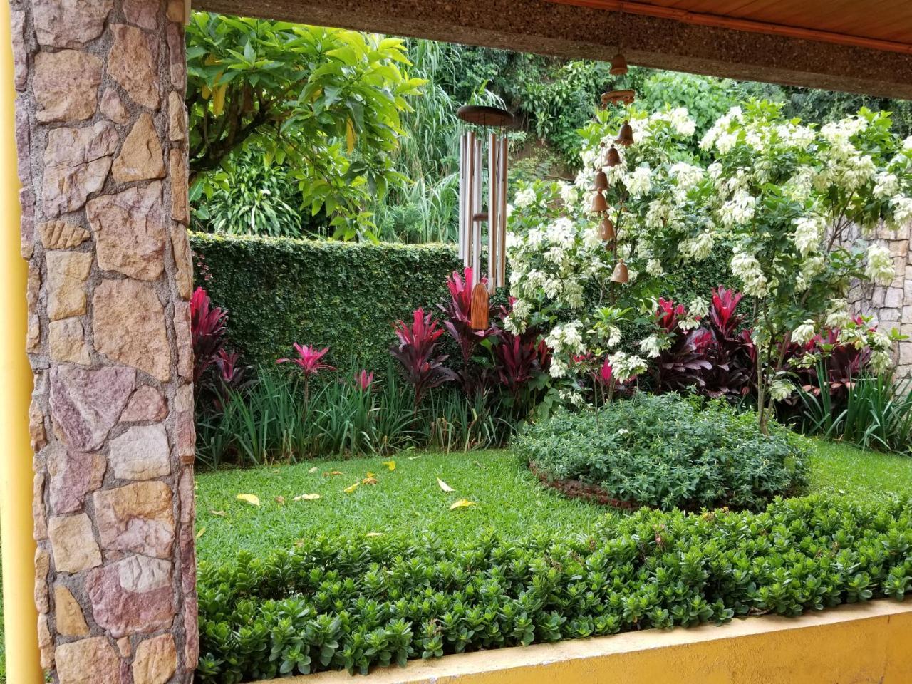 La Terraza Guest House B&B Гресия Екстериор снимка